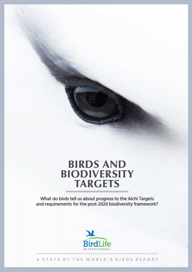 Birds and Biodiversity Targets